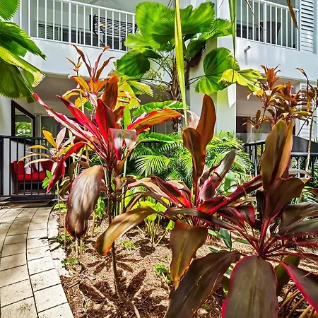 Beach Club Private Apartments Palm Cove Room photo